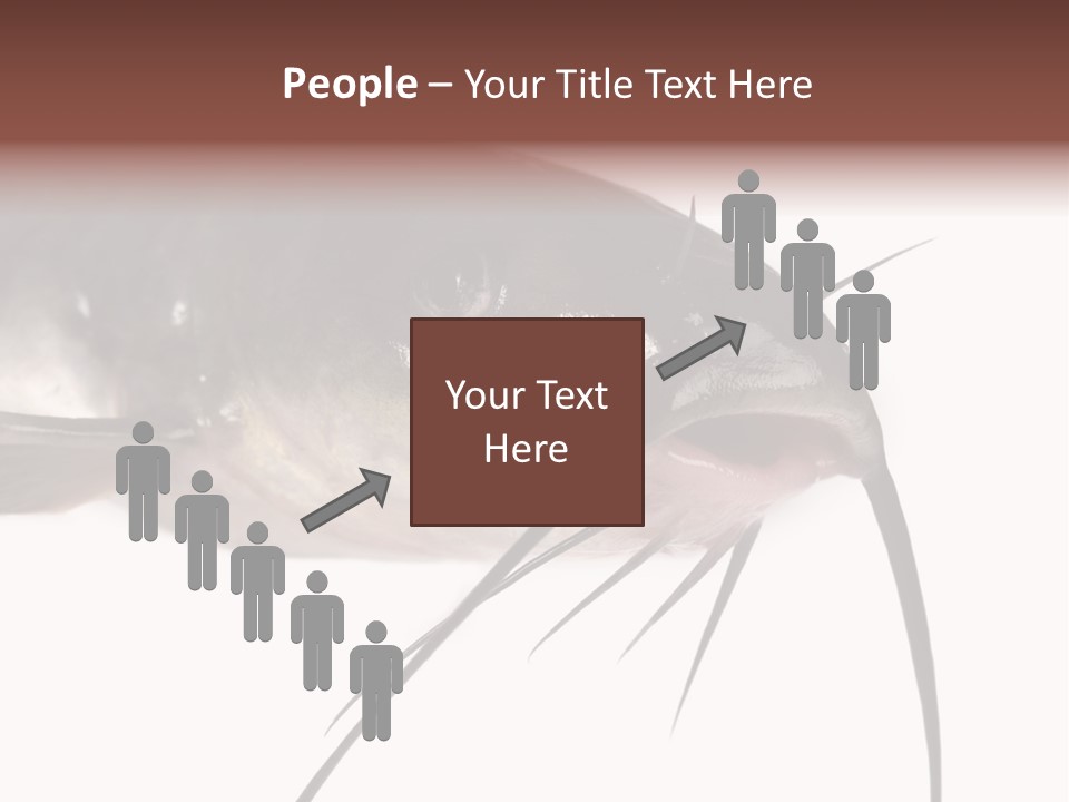 Catch American Raw PowerPoint Template