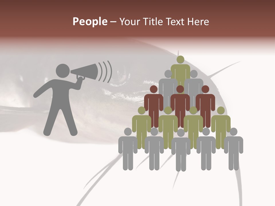 Catch American Raw PowerPoint Template