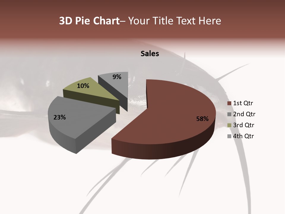 Catch American Raw PowerPoint Template