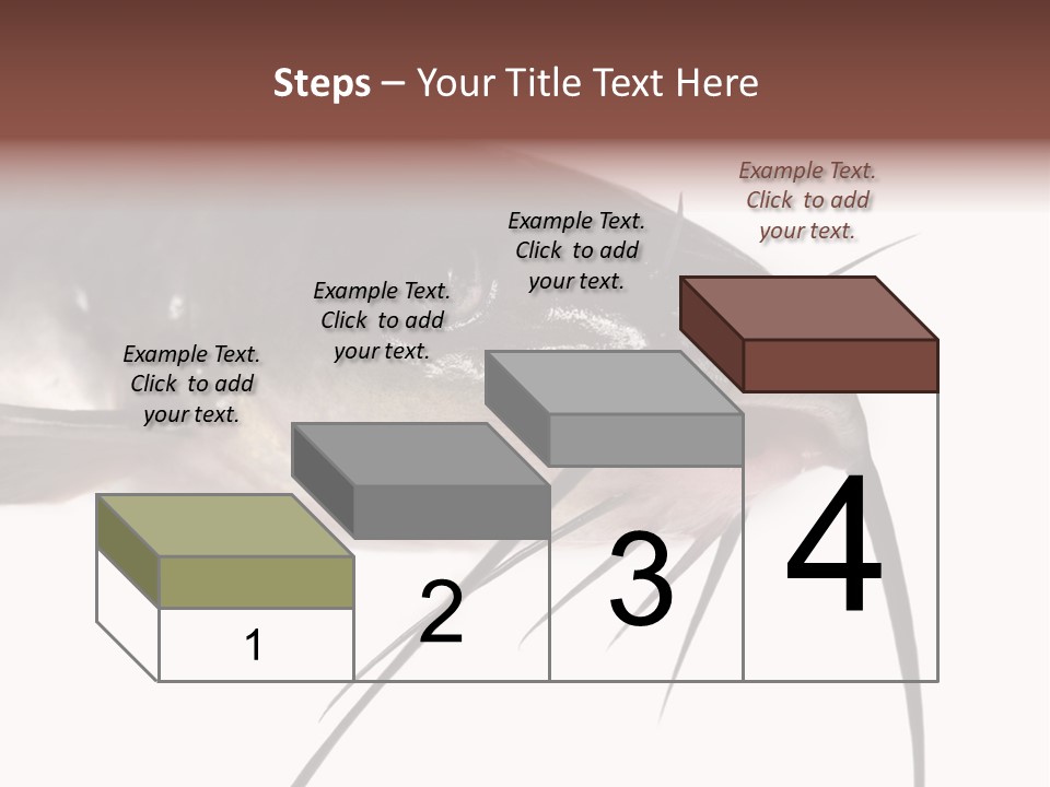 Catch American Raw PowerPoint Template