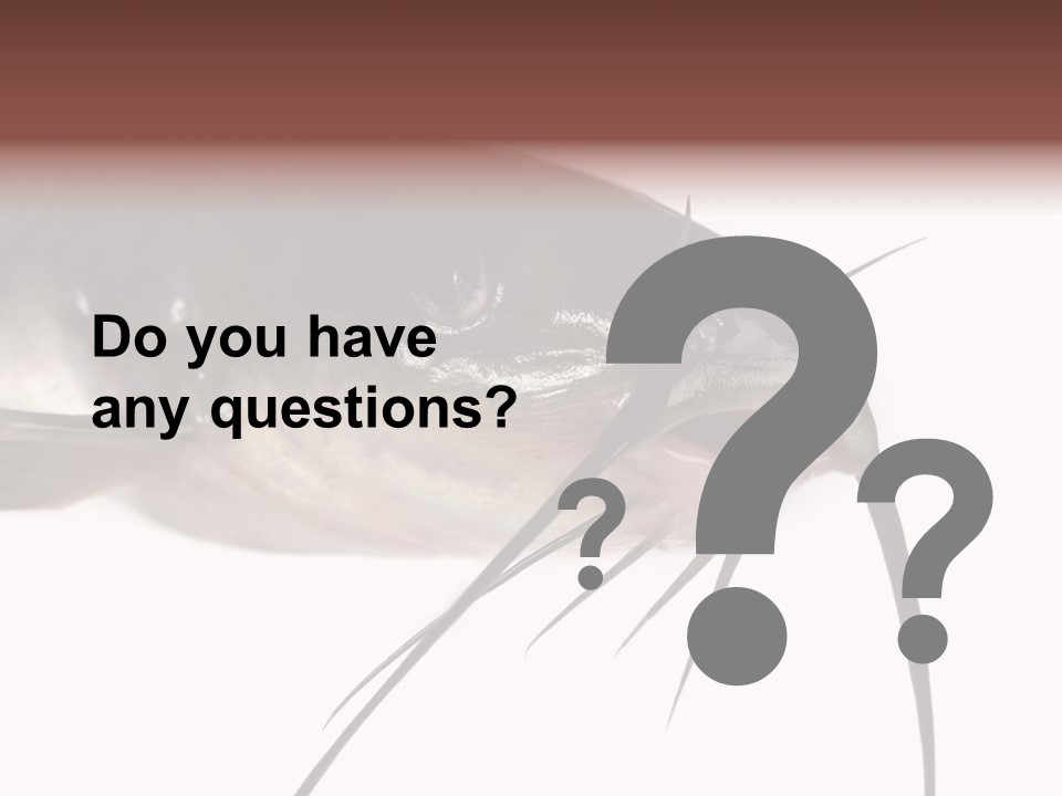 Catch American Raw PowerPoint Template