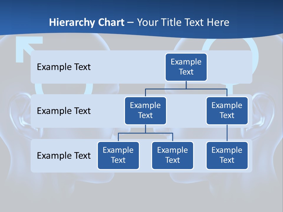 Valentines Law Marriage PowerPoint Template