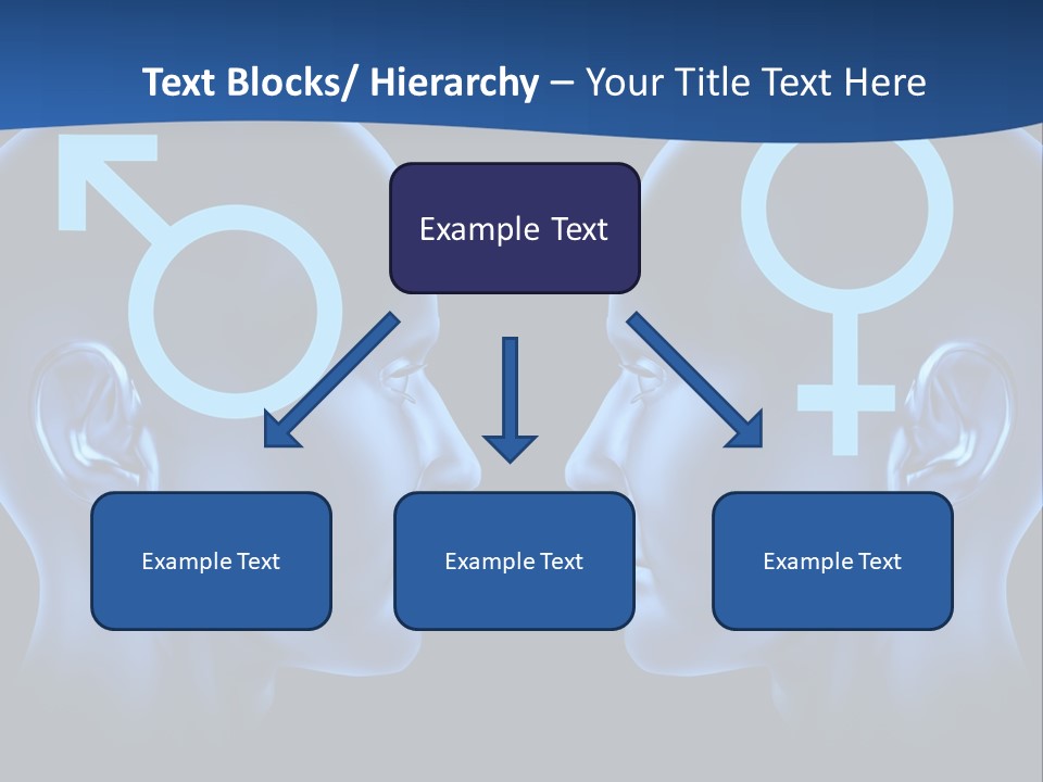 Valentines Law Marriage PowerPoint Template