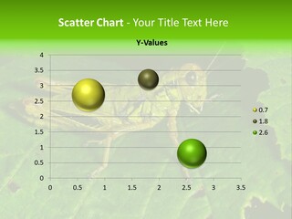 Nature Tentacles Dew PowerPoint Template