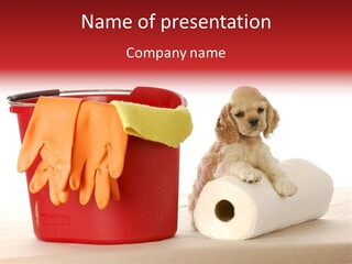 Shot Paper Gloves PowerPoint Template
