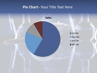 Tool Transparent Equipment PowerPoint Template