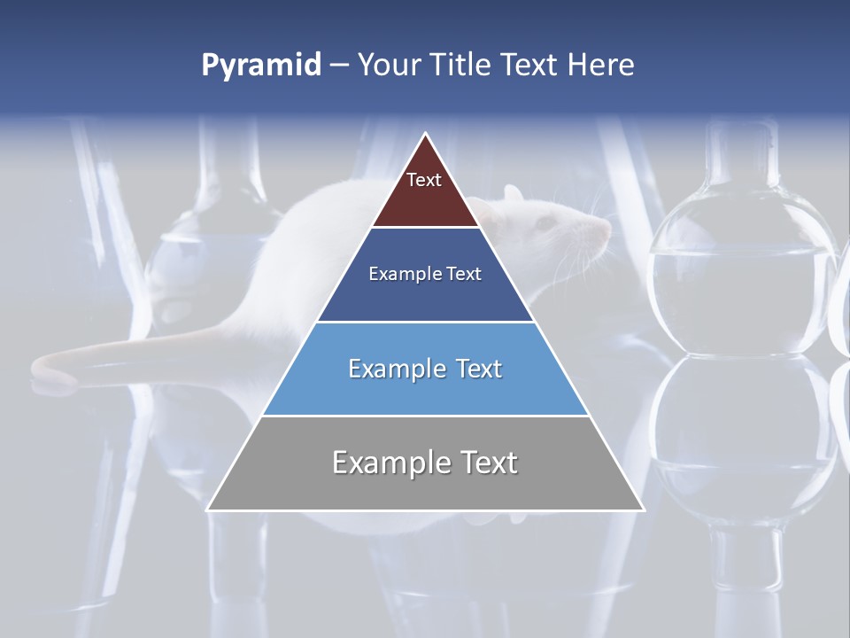 Tool Transparent Equipment PowerPoint Template