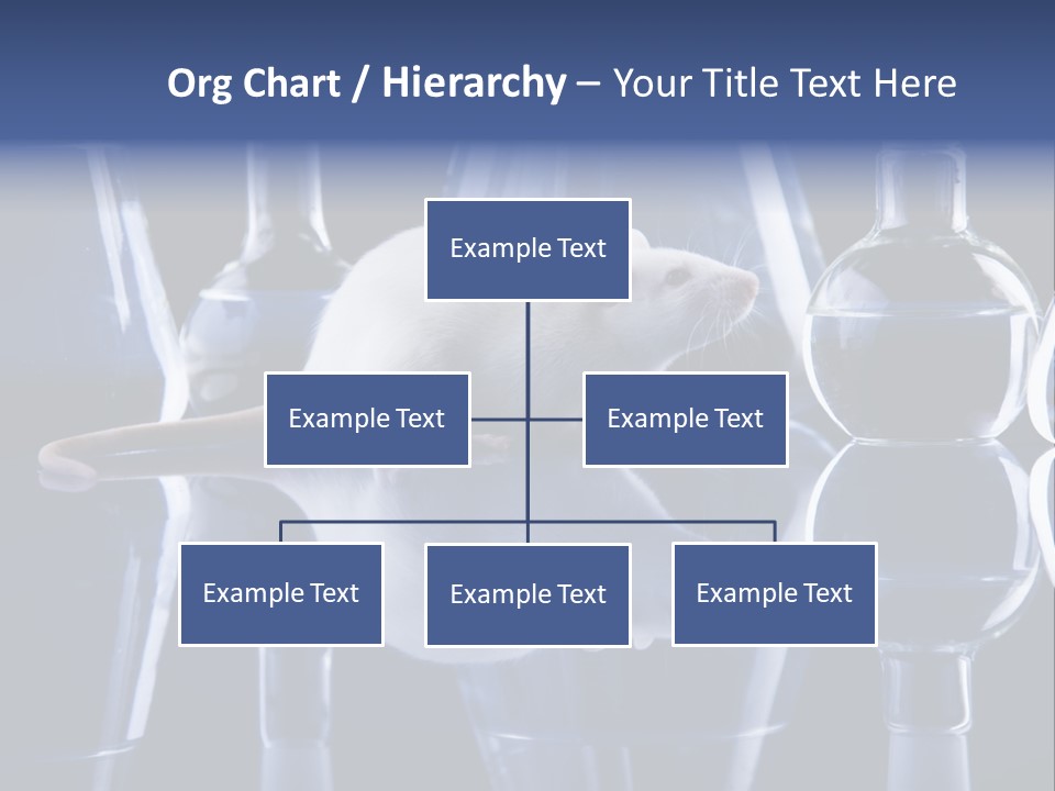 Tool Transparent Equipment PowerPoint Template