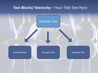Tool Transparent Equipment PowerPoint Template