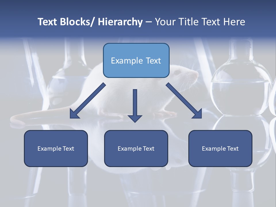 Tool Transparent Equipment PowerPoint Template