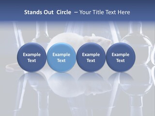 Tool Transparent Equipment PowerPoint Template