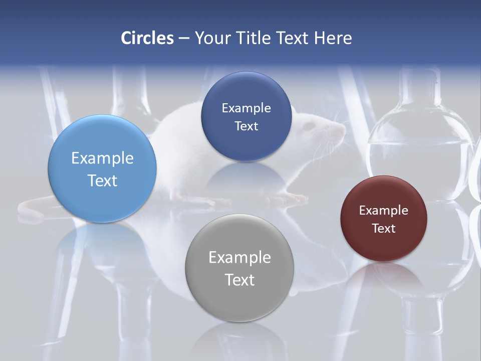 Tool Transparent Equipment PowerPoint Template
