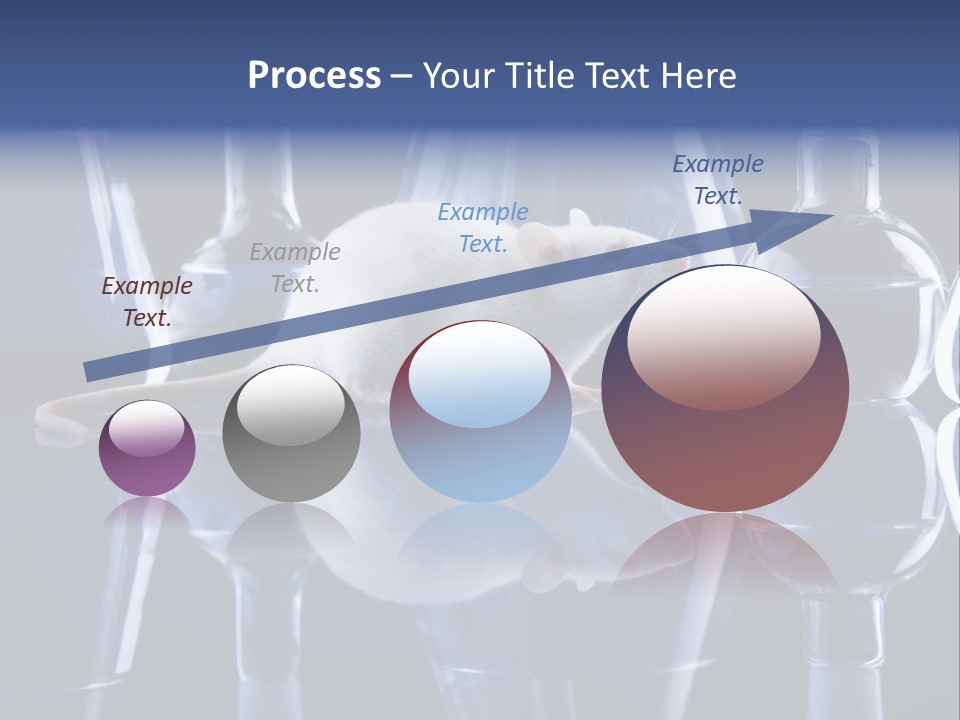 Tool Transparent Equipment PowerPoint Template
