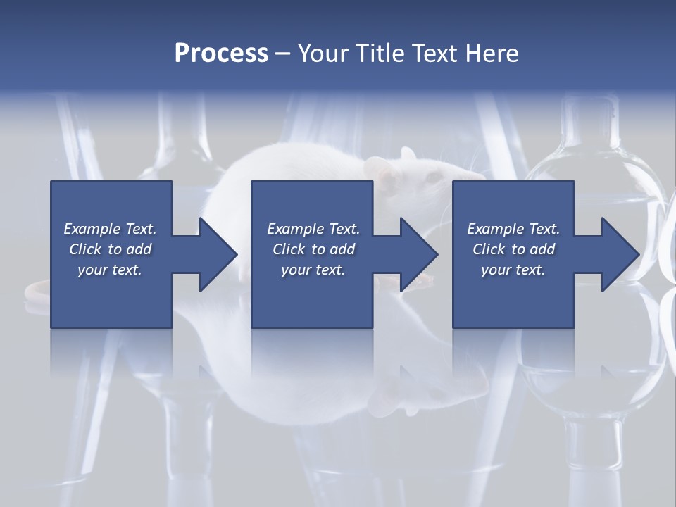 Tool Transparent Equipment PowerPoint Template