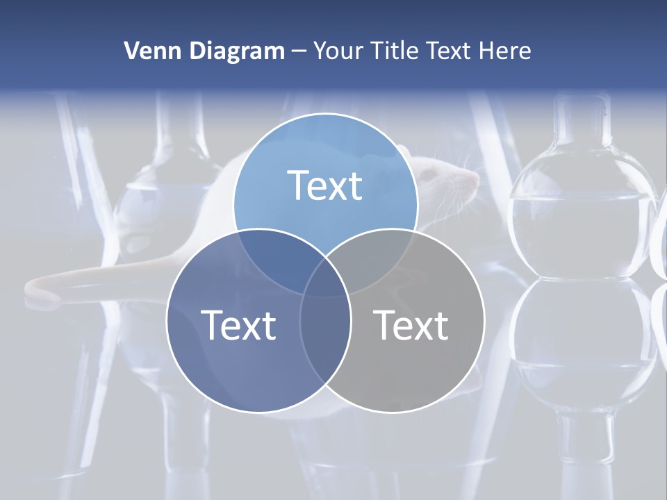 Tool Transparent Equipment PowerPoint Template