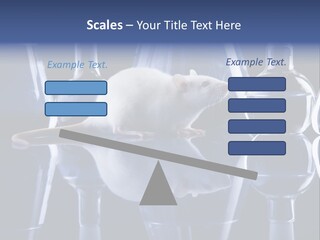 Tool Transparent Equipment PowerPoint Template