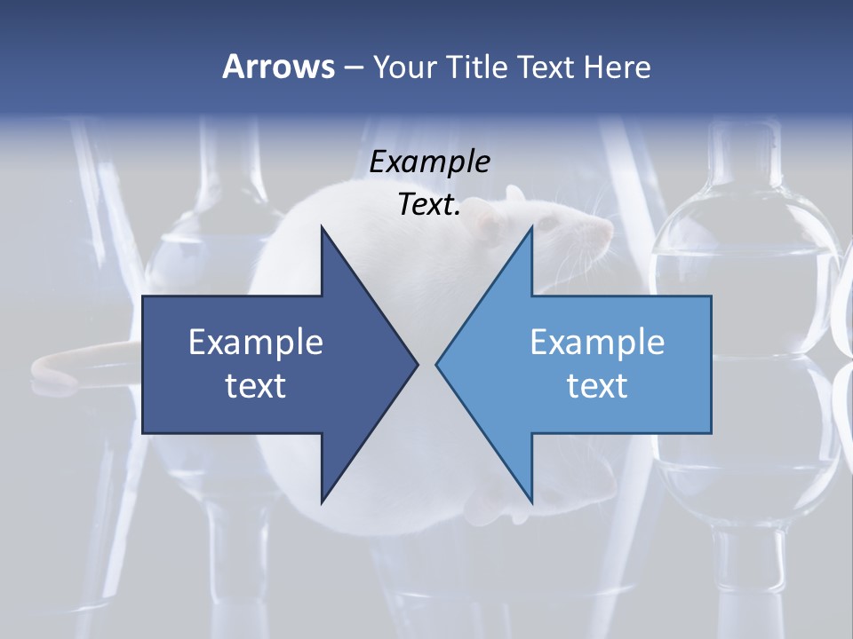 Tool Transparent Equipment PowerPoint Template