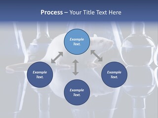 Tool Transparent Equipment PowerPoint Template