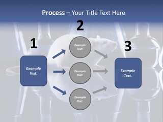 Tool Transparent Equipment PowerPoint Template