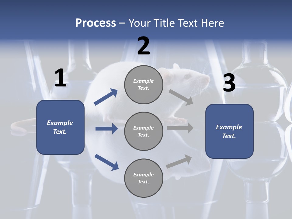 Tool Transparent Equipment PowerPoint Template