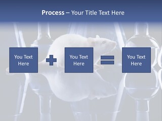 Tool Transparent Equipment PowerPoint Template