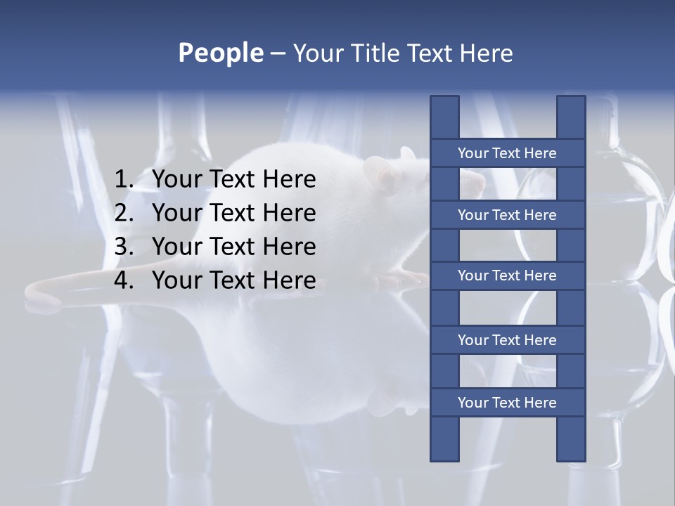 Tool Transparent Equipment PowerPoint Template