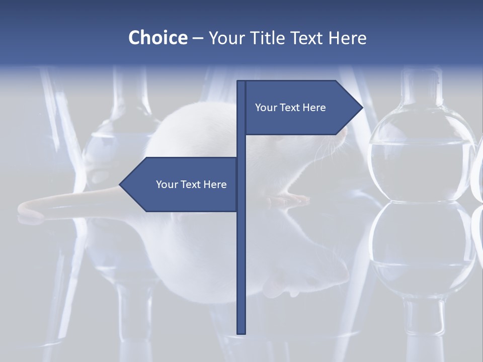 Tool Transparent Equipment PowerPoint Template