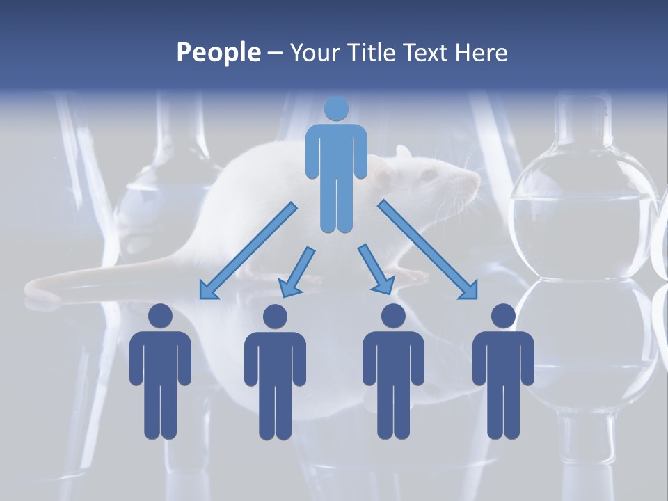Tool Transparent Equipment PowerPoint Template