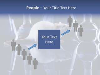Tool Transparent Equipment PowerPoint Template