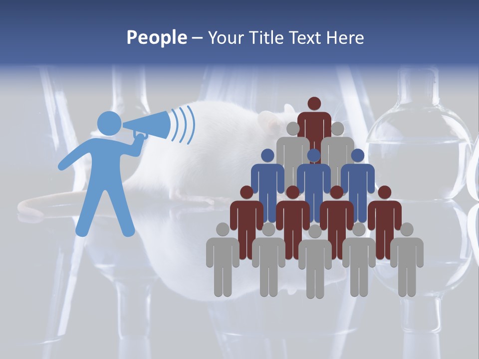 Tool Transparent Equipment PowerPoint Template