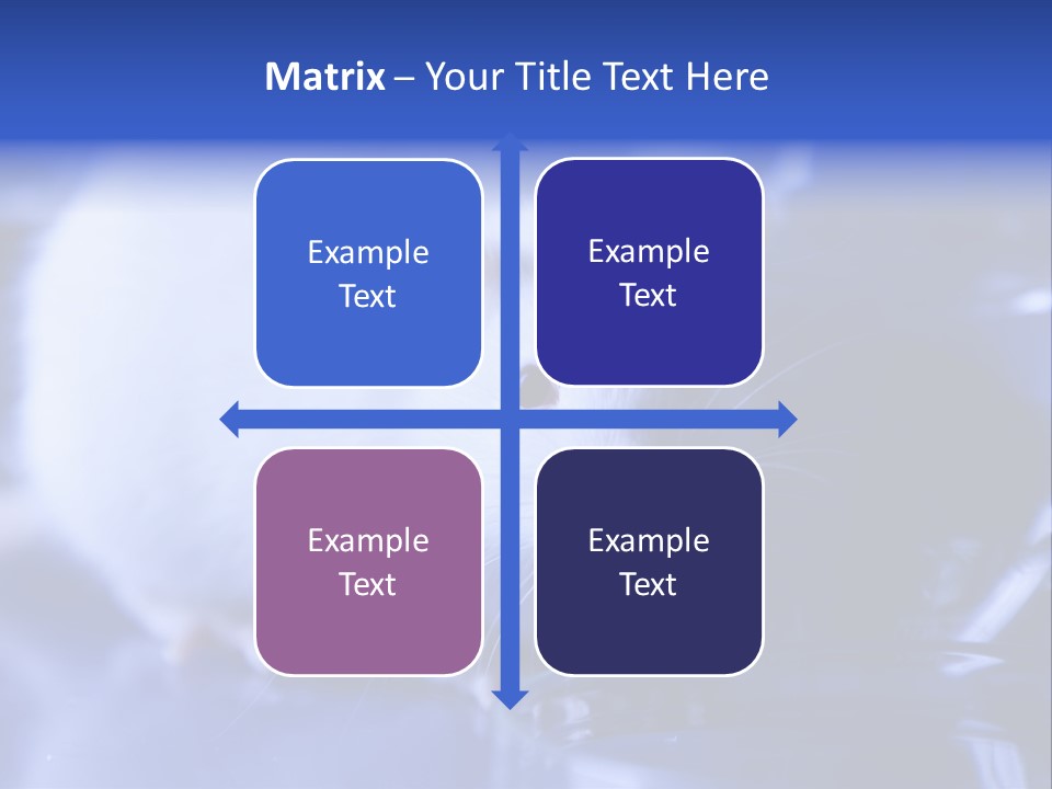 Equipment Flask Pipette PowerPoint Template