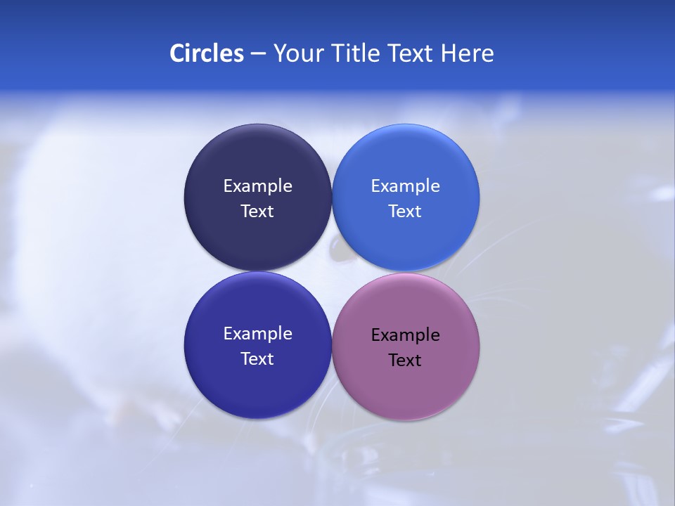 Equipment Flask Pipette PowerPoint Template
