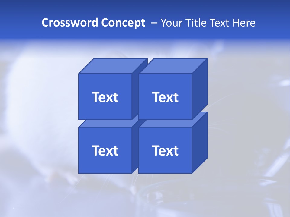 Equipment Flask Pipette PowerPoint Template