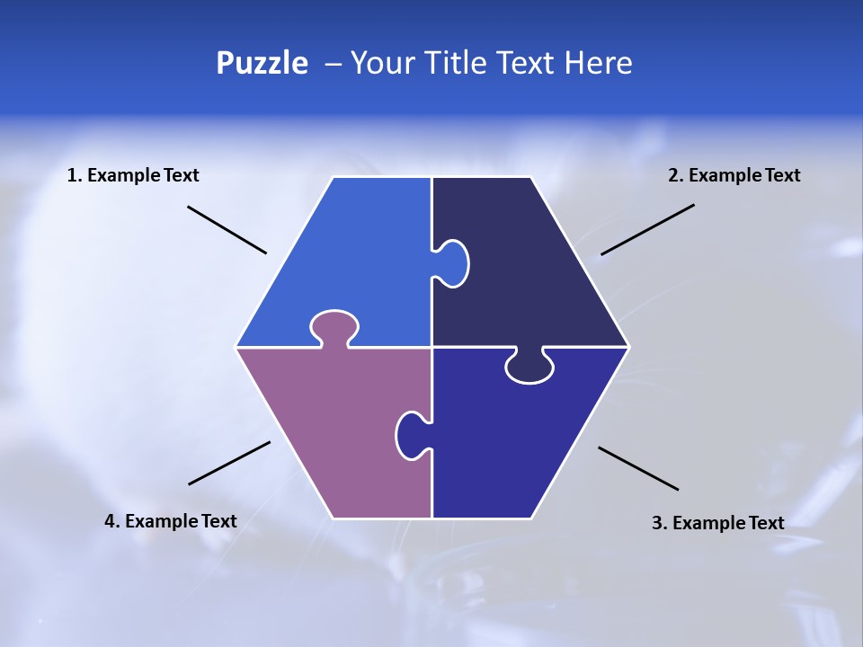 Equipment Flask Pipette PowerPoint Template