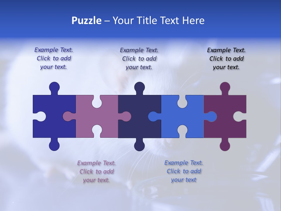 Equipment Flask Pipette PowerPoint Template