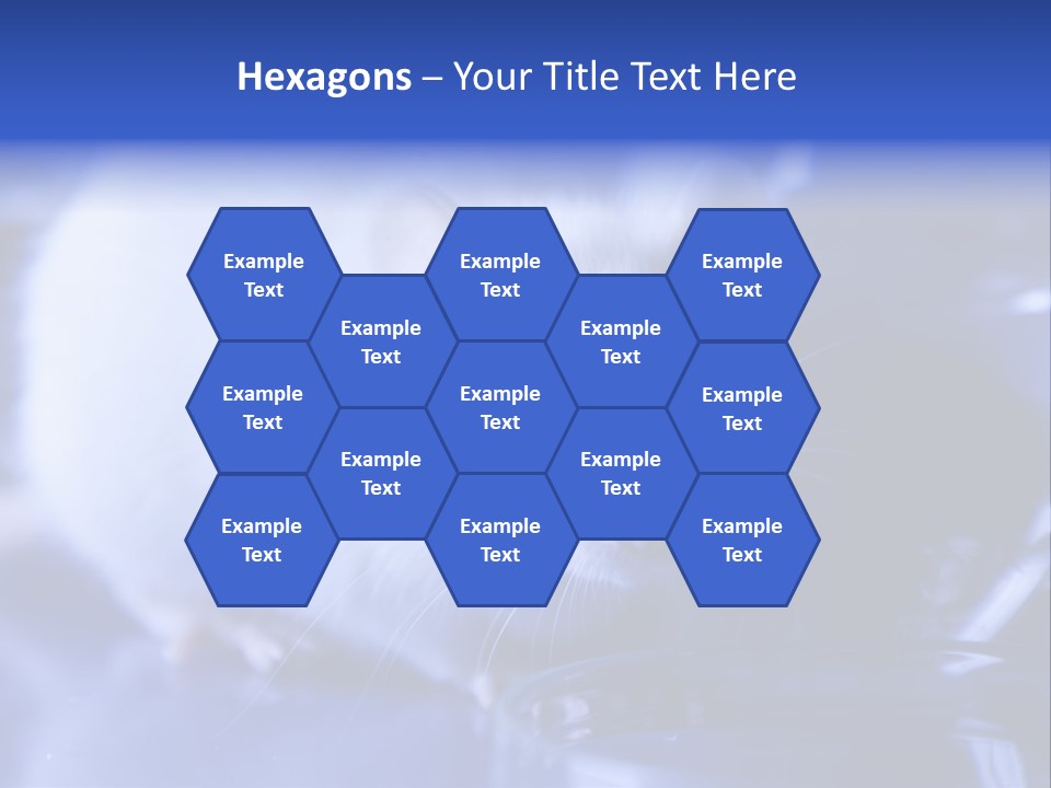 Equipment Flask Pipette PowerPoint Template
