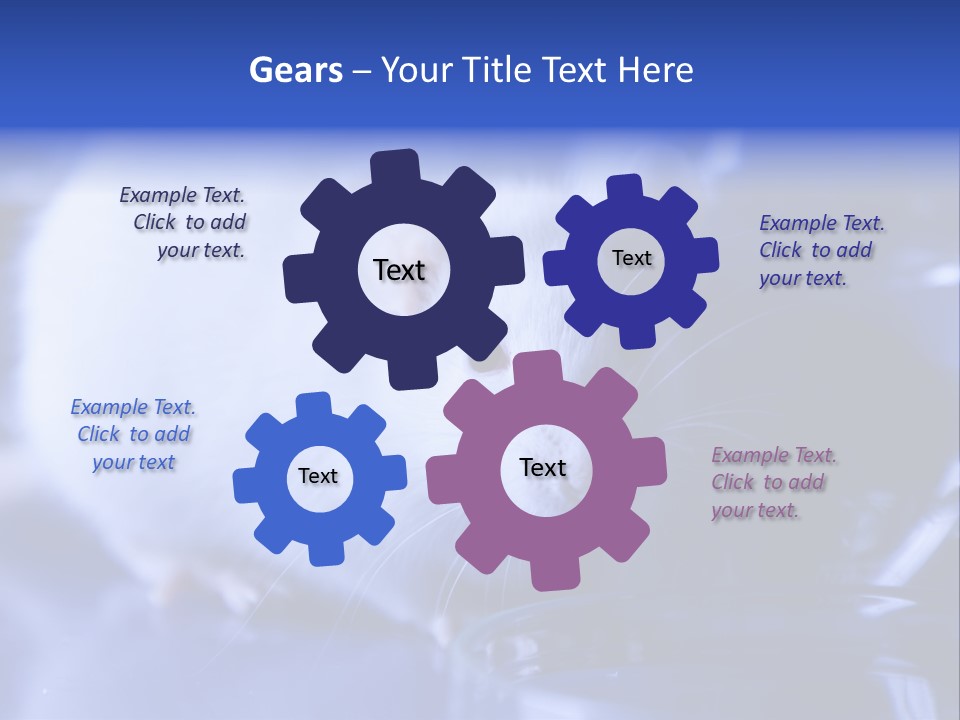 Equipment Flask Pipette PowerPoint Template