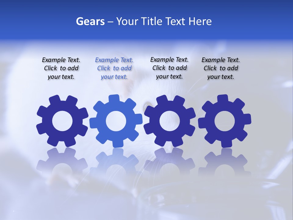 Equipment Flask Pipette PowerPoint Template