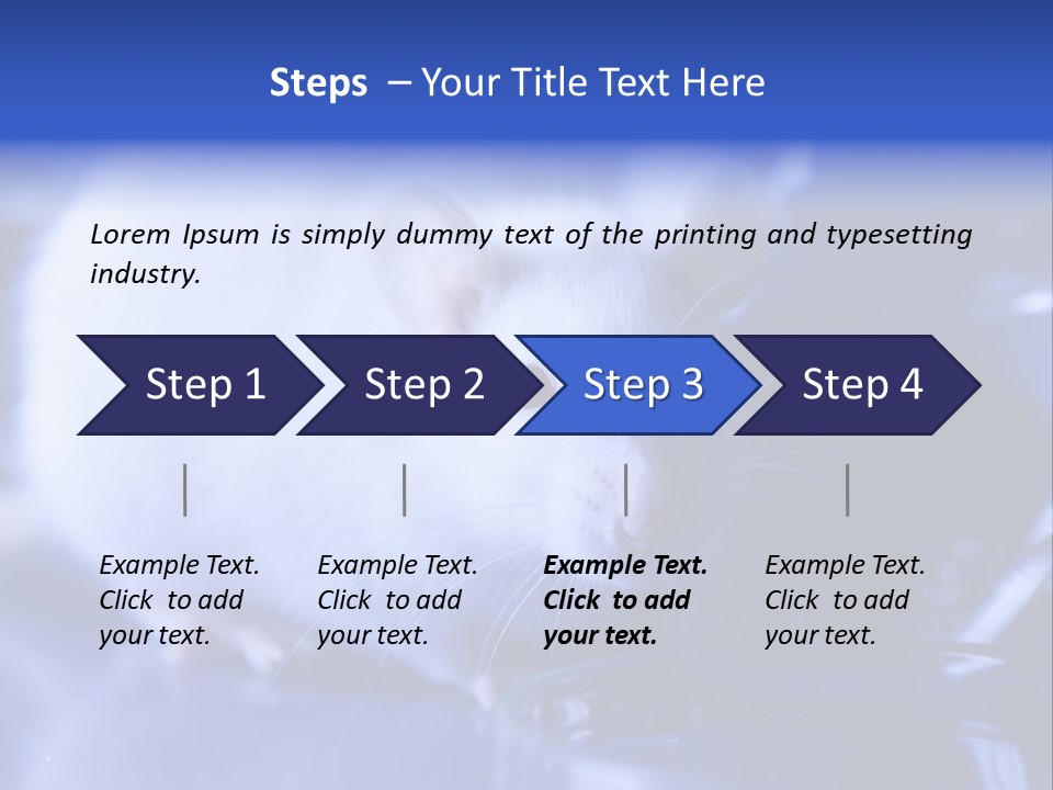 Equipment Flask Pipette PowerPoint Template