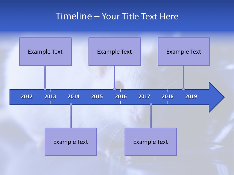 Equipment Flask Pipette PowerPoint Template