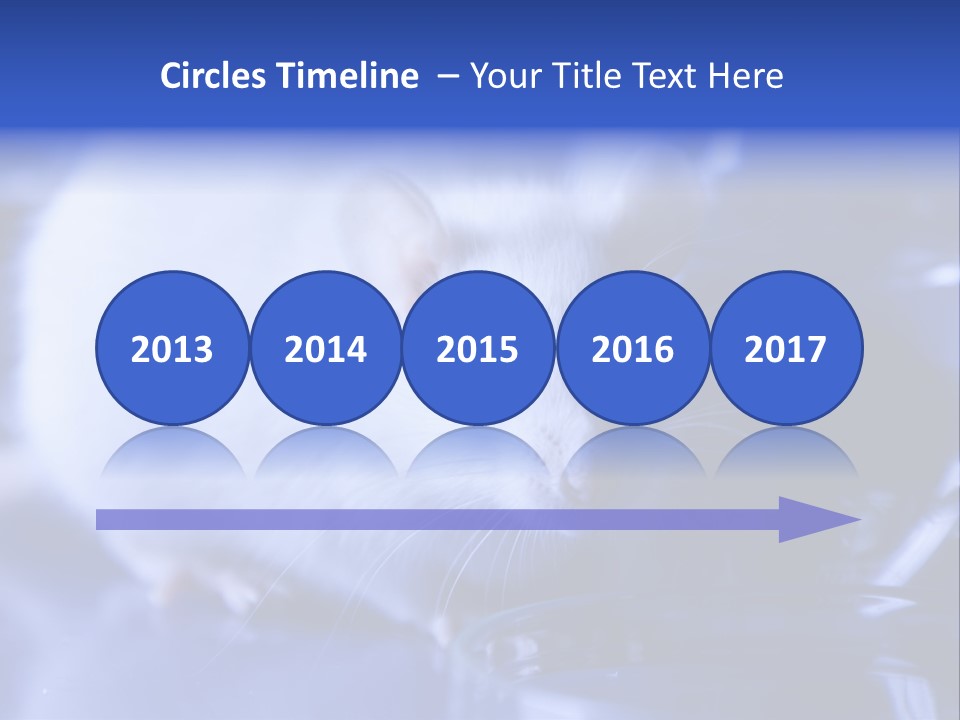 Equipment Flask Pipette PowerPoint Template