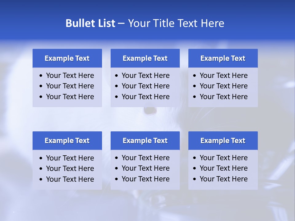 Equipment Flask Pipette PowerPoint Template