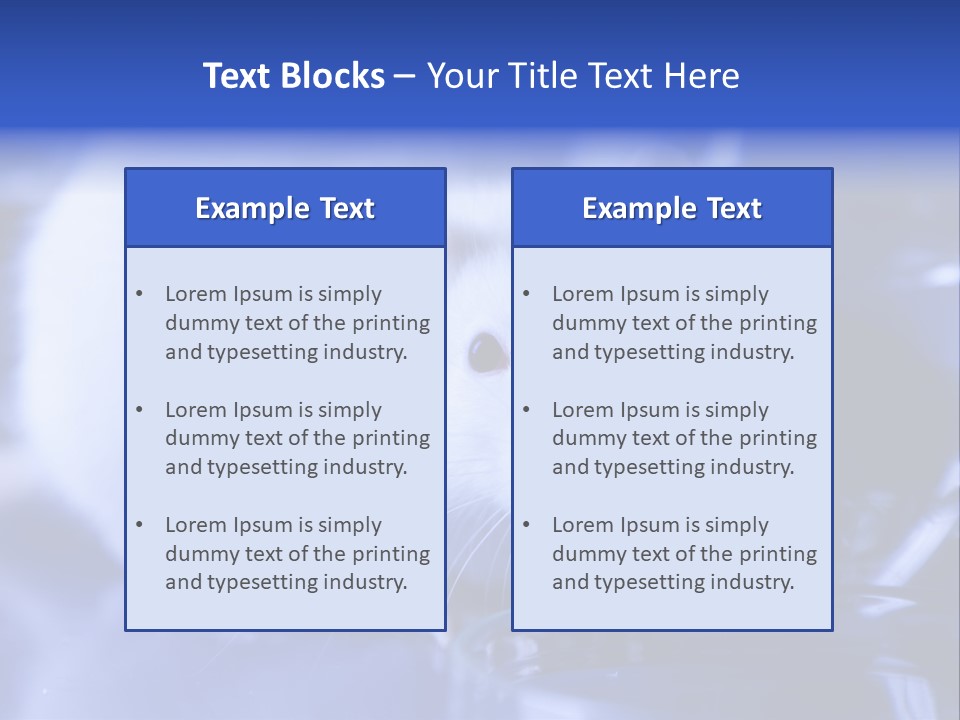 Equipment Flask Pipette PowerPoint Template