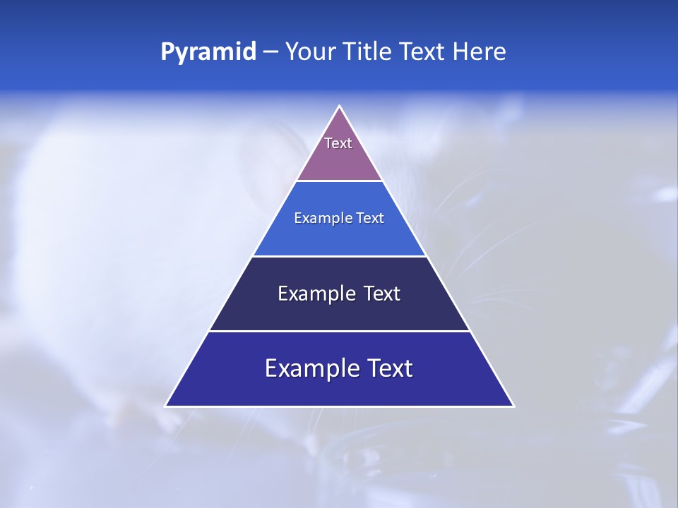 Equipment Flask Pipette PowerPoint Template