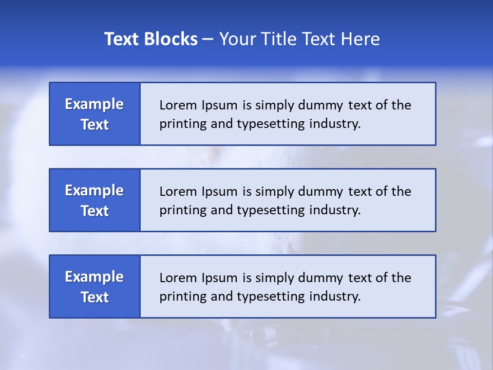 Equipment Flask Pipette PowerPoint Template