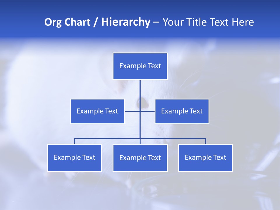 Equipment Flask Pipette PowerPoint Template