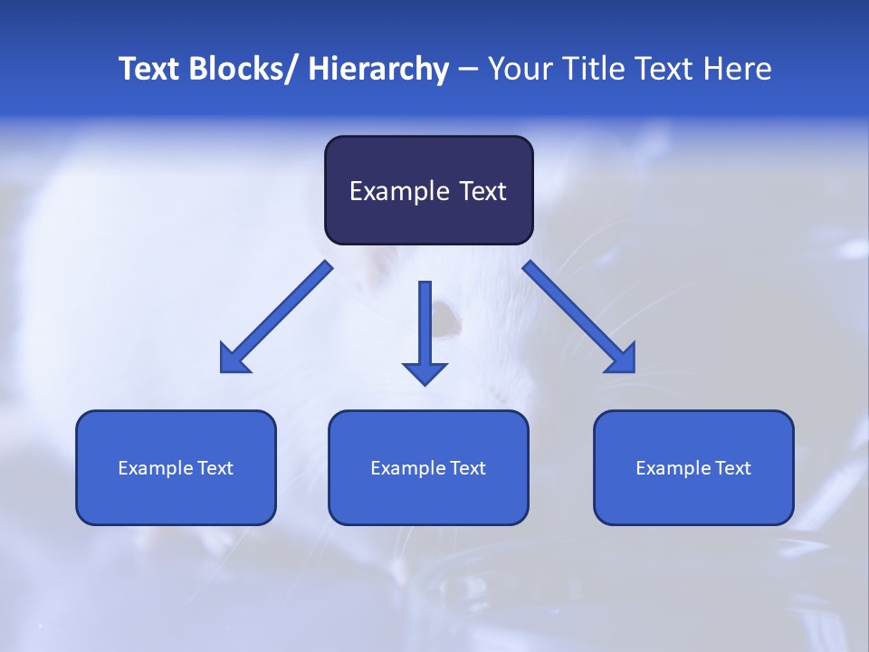 Equipment Flask Pipette PowerPoint Template