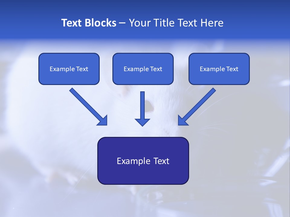 Equipment Flask Pipette PowerPoint Template