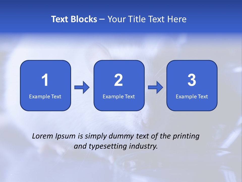 Equipment Flask Pipette PowerPoint Template