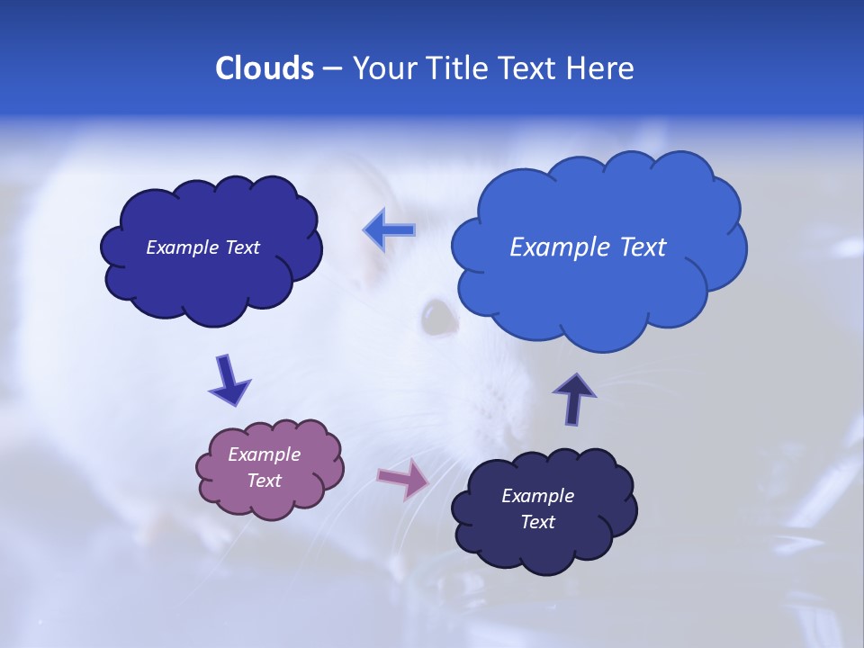 Equipment Flask Pipette PowerPoint Template